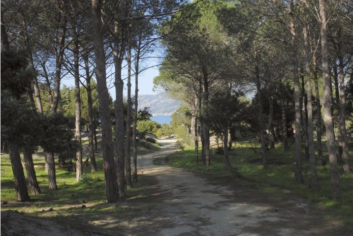 Villaggio Camping Spiaggia del Riso Villasimius, Camping Sardinia, Cagliari