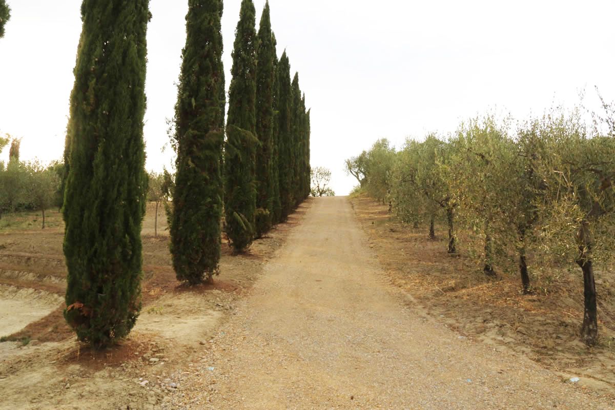 Agricamping Poggio ai Pini
