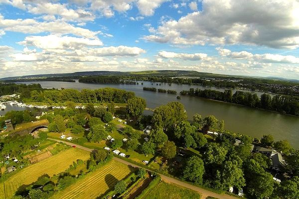 Campingplatz am Rhein Rdesheim am Rhein, Campingplatz Hessen, Hessen
