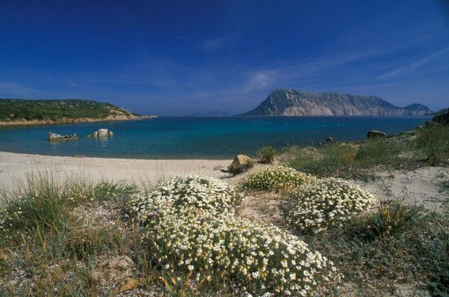 Weißer Strand in Sardinien