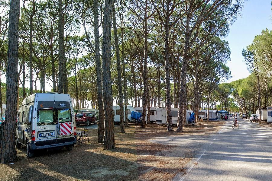 Camping Neptuno